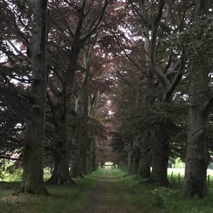 Meet your Posher, Gabriela